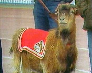 [www.GeissbockFans.de]