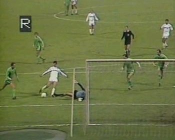 [www.GeissbockFans.de]