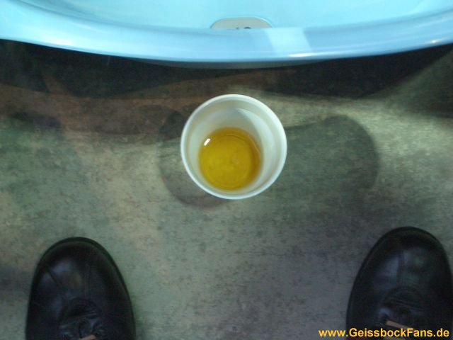 [DFB-Pokal 2008/2009]