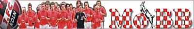 [Der erste virtuelle FC-Online-Fanclub]