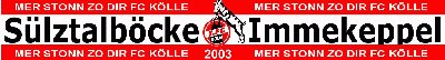 S&uuml;lztalb&ouml;cke Immekeppel