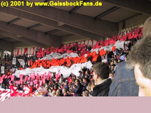 [FC - Energie Cottbus 2000/2001]