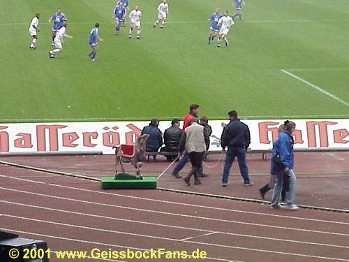 [FC - SpVgg Unterhaching 2000/2001]