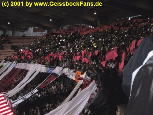 [FC - 1. FC Kaiserslautern 2000/2001]