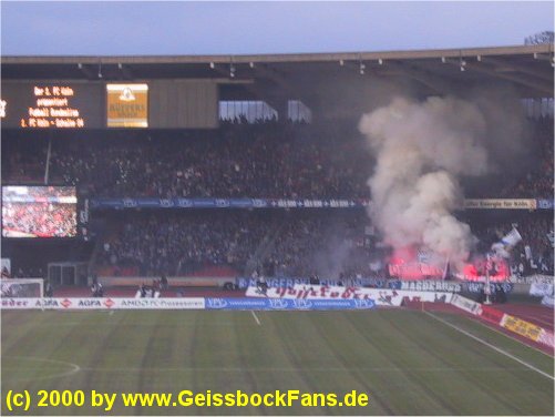 [FC - Schalke 04 2000/2001]