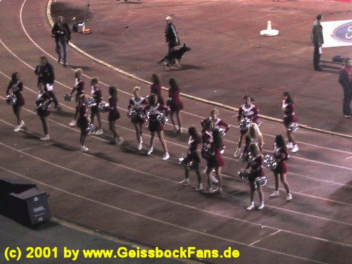 [FC - VfL Wolfsburg 2000/2001]