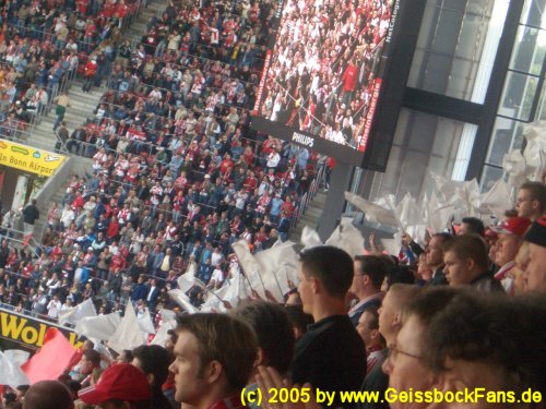 [Saison 2005/2006]