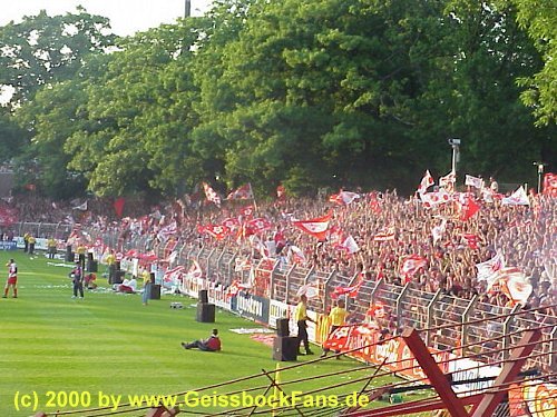 [Energie Cottbus - FC 1999/2000]