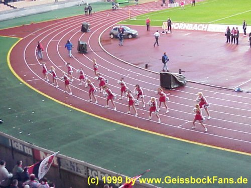 [FC - Energie Cottbus 1999/2000]