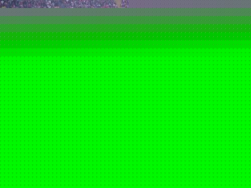 [FC - Energie Cottbus 1999/2000]