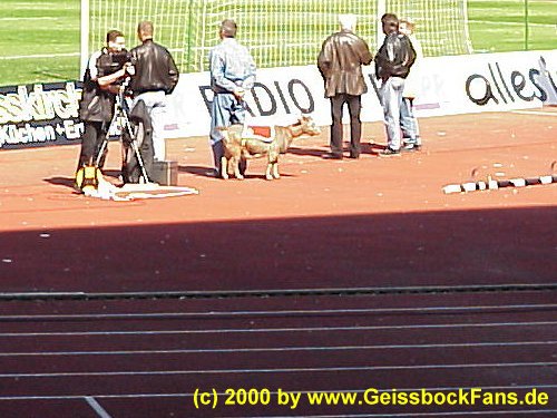 [FC - FSV Mainz 05 1999/2000]