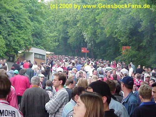 [Hannover 96 - FC 1999/2000]