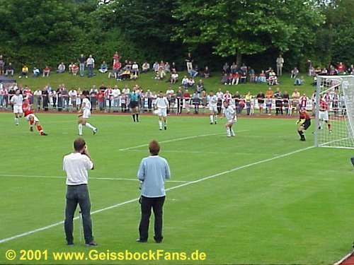 [Freundschaftsspiel 2001/2002]
