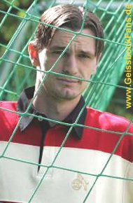 [Milivoje Novakovic]