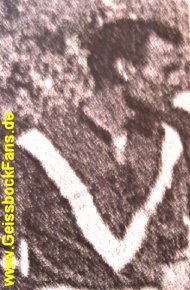 Foto aus der Saison ???